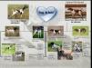 Excellent pedigree excellent temperaments and should be exceptional hunters. 