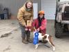 IABCA International Ch/National CH AKC GCH CH Rebelflame Victory Bullet "Tori" 