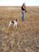 Kansas Hunting