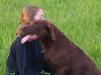 Tucker, Reg. AKC and CKC, OFA and DNA Tested and cleared.