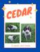 Cedar 3 weeks old