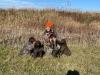 Doing what they LOVE!