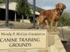 Training day at the National Search Dog Foundation