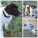 AVAILABLE-female