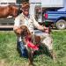 Stud service from proven liver roan American Brittany