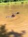 Lila and Brother swimming