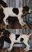 Pup needs a loving home ASAP!!