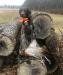 This is the sibling of the M-Mack male GSP pups at www.cmkga.com born 8-1-22. 