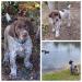 AVAILABLE-male