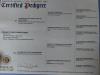 Kaylee's pedigree