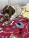 German Shorthaired Pointer whelped 4/2/2023lMale
Liver/Ticked he have a liver head with white down the middle and across the noses.
Priced at $1,000.00