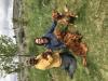 Briggs up front with two of his West daughters from different litters.  Puppy Pick Up Day with a couple of very happy Montana friends.