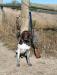 Grouse in the SD Grasslands!