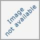 Sonny, liver/wht male