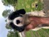 This is Samantha