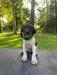 GREEN COLLAR MALE