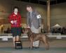 GCH CH Whispering Oak Nymira (Nymie)