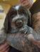 Walden 6 1/2 weeks