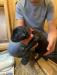 Black male available