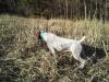 This is Lacey. She is opal’s mom.