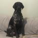 This is Sonny he is her father of Opal