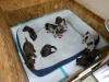 Puppies