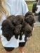 Group shot of males and females available.