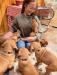 Our granddaughter schools our pups in the basics.
