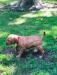 Pinky Girl is spunky!