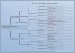 Sire pedigree