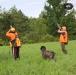 Spectacular Gun Dogs