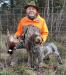 Oz is one of our stud dogs. Oz is very easy going, can sit all day in the blind. He is used for waterfowl and upland game.