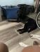 Ravin SOLD as hunting family dog