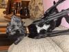 OK, another recent picture we’ve been bringing him in the house to get them used to being in home
