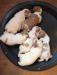 Pups