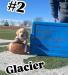 Yellow Female: Glacier