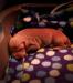 Tiny nugget. They are gaining weight every day!