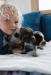 Pups at weeks old