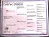 Mother Pedigree
