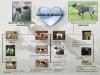 Picture pedigree