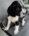 B/W female-available 