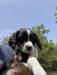 B/W female-available
