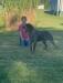 Sire