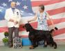 Crusader Best of Breed 
