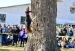 Dam in treeing competition