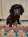"Timmy" at 7 weeks