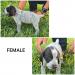 Medium female black and white.