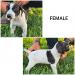 Small female black and white