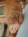 Bossy girl1. Bossy loves to be held.