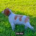 Available 
#2 female